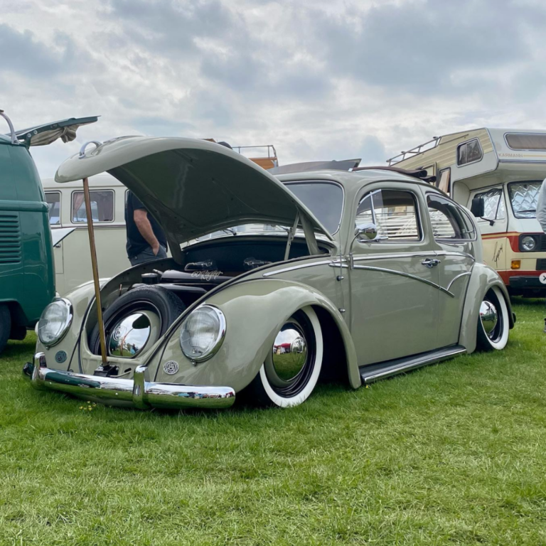 Nobby C' Beetle
