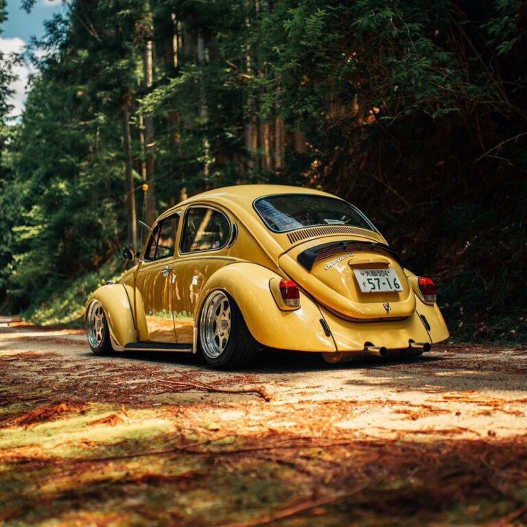 Masayoshi Y' Beetle