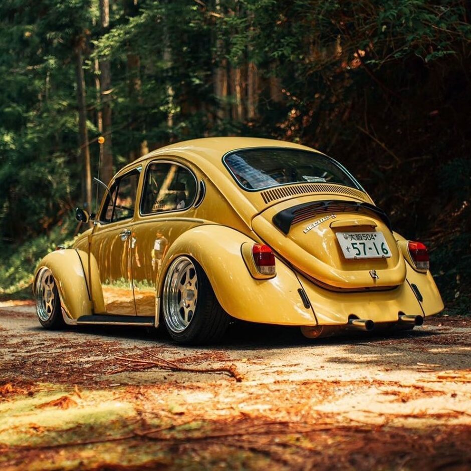 Masayoshi Y' Beetle
