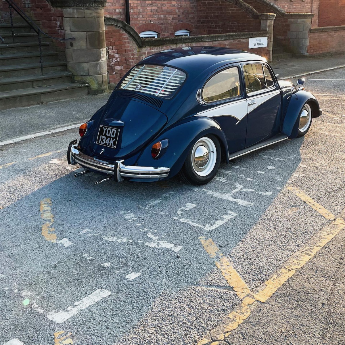 Smitherz' Beetle