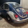 Teruyoshi Y' Beetle
