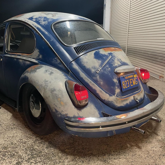 Teruyoshi Y' Beetle