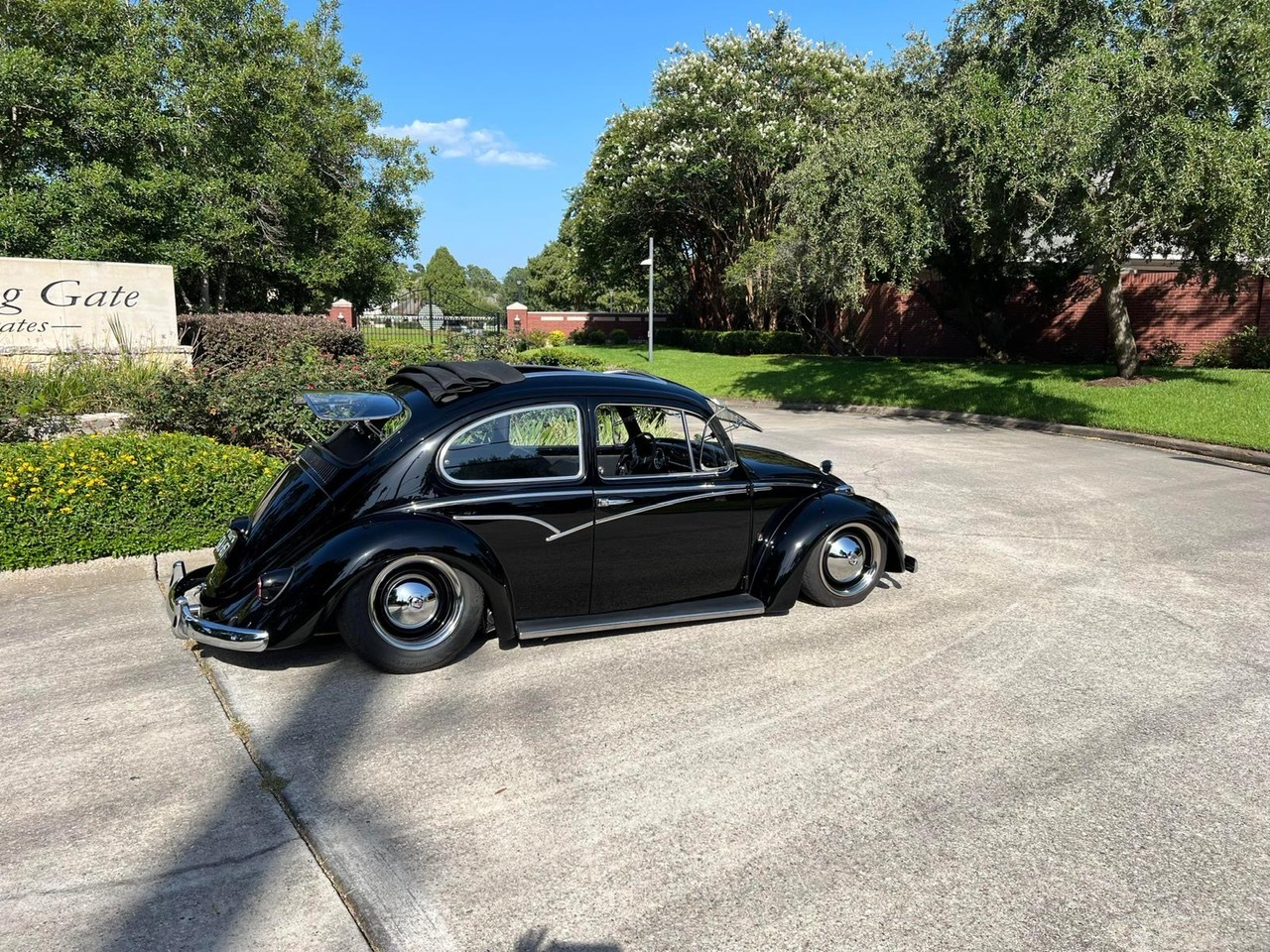 Wallace W' Beetle