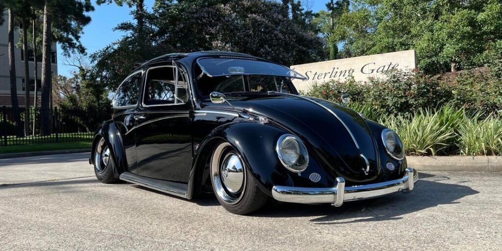 Wallace W' Beetle