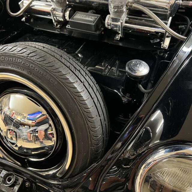Wallace W' Beetle