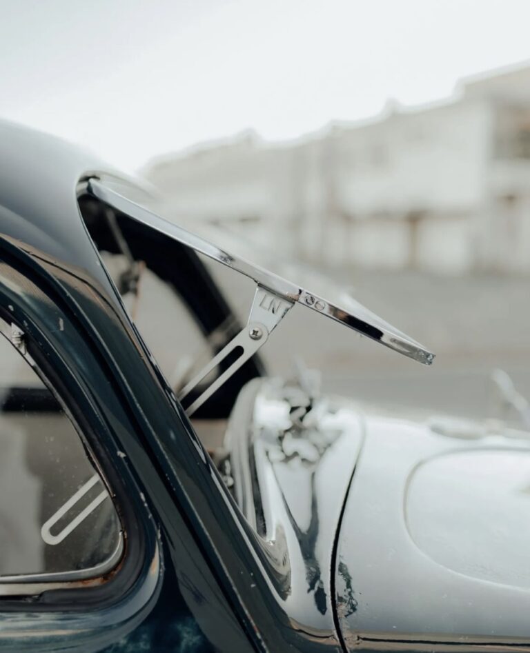Luis P' Beetle