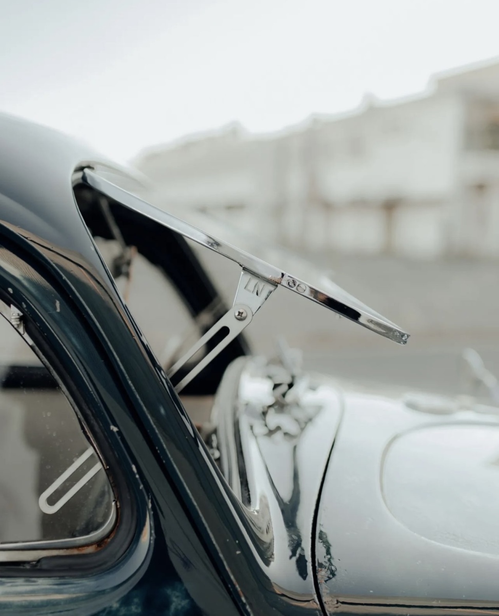 Luis P' Beetle