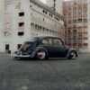 Luis P' Beetle