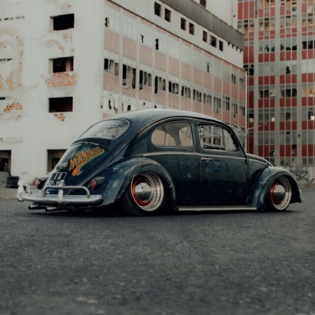 Luis P' Beetle