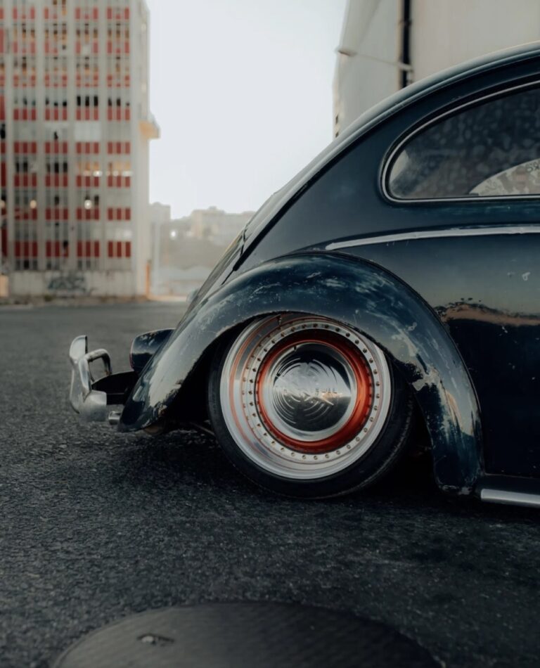 Luis P' Beetle