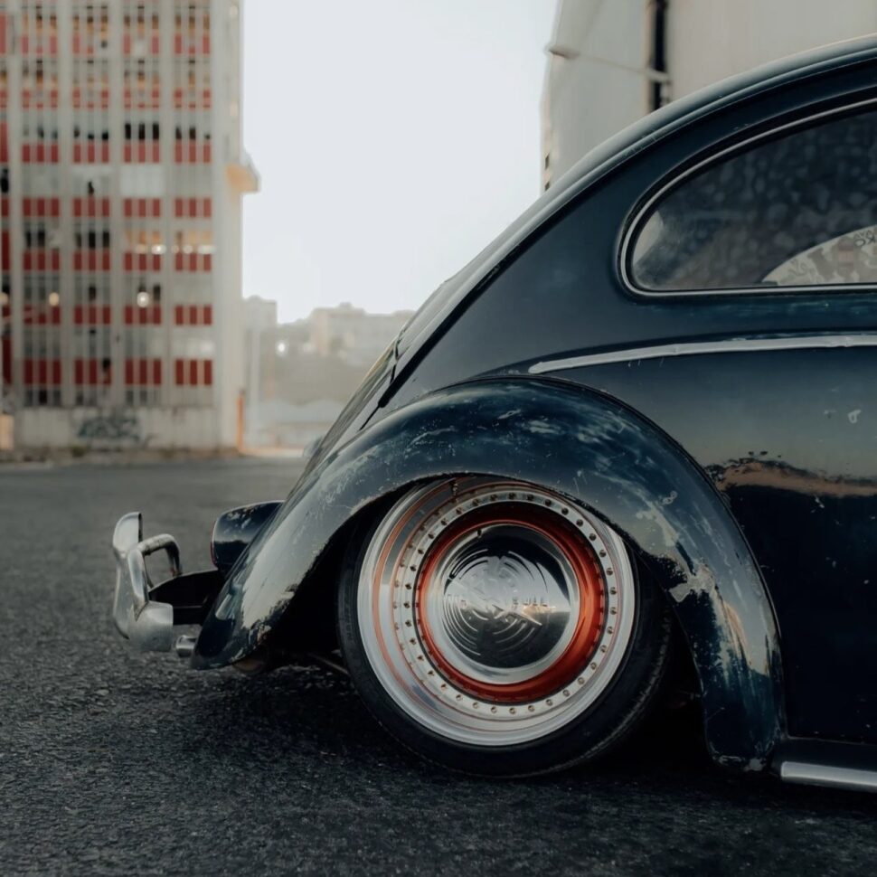 Luis P' Beetle
