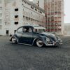 Luis P' Beetle