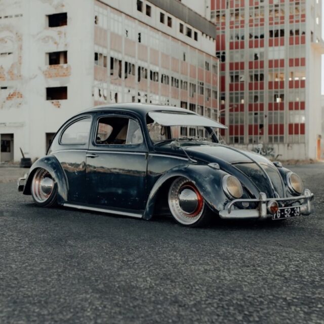 Luis P' Beetle