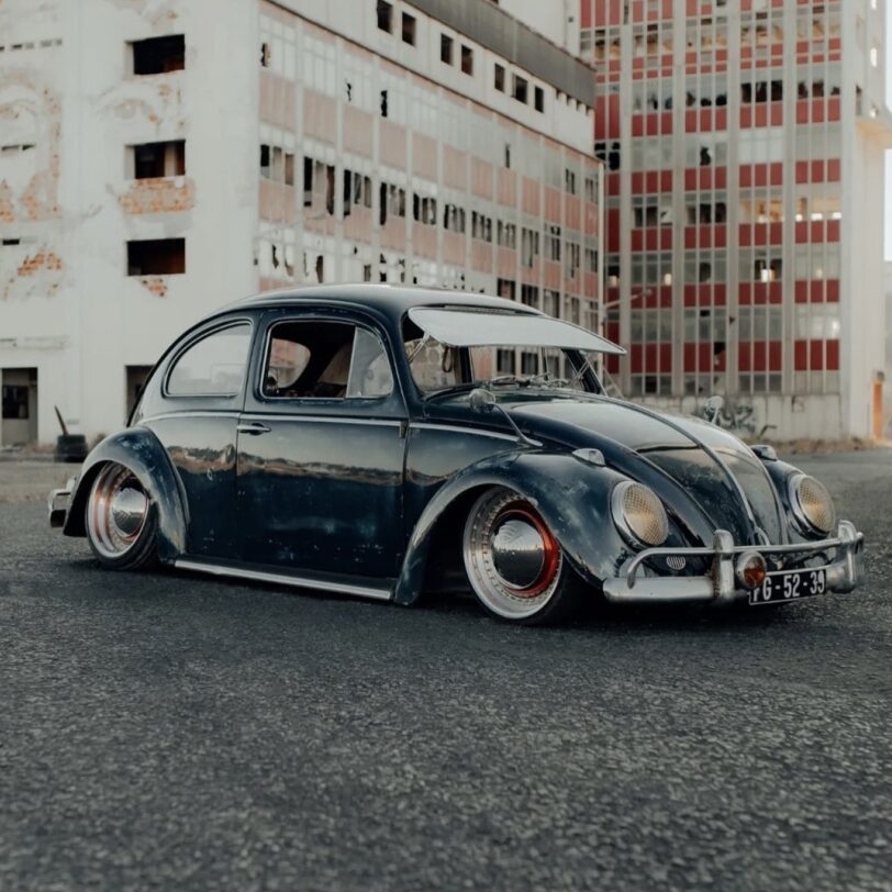 Luis P' Beetle