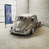 Jordi O' Oval Beetle