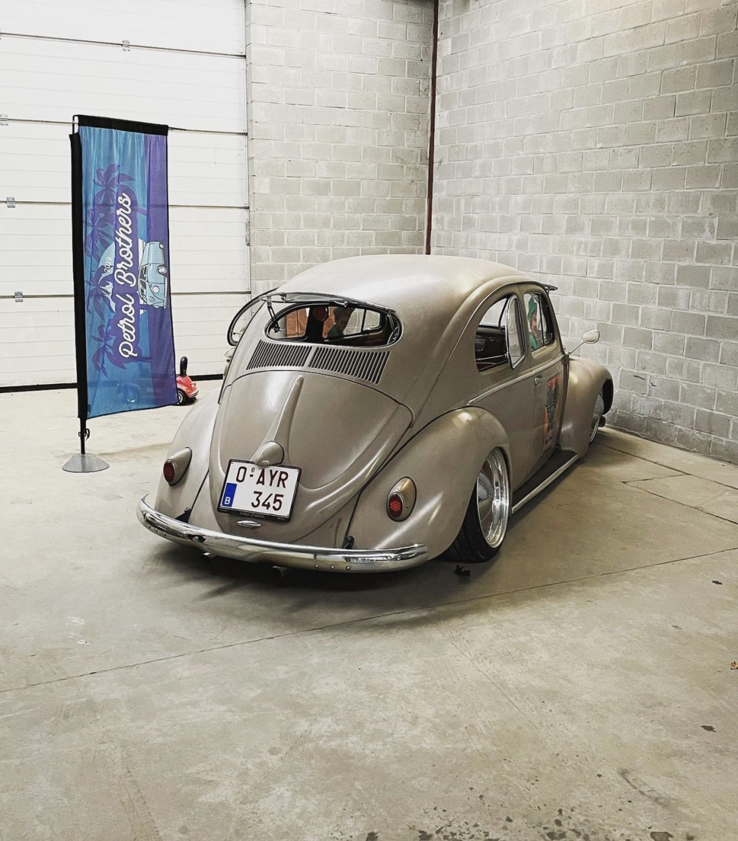 Jordi O' Oval Beetle