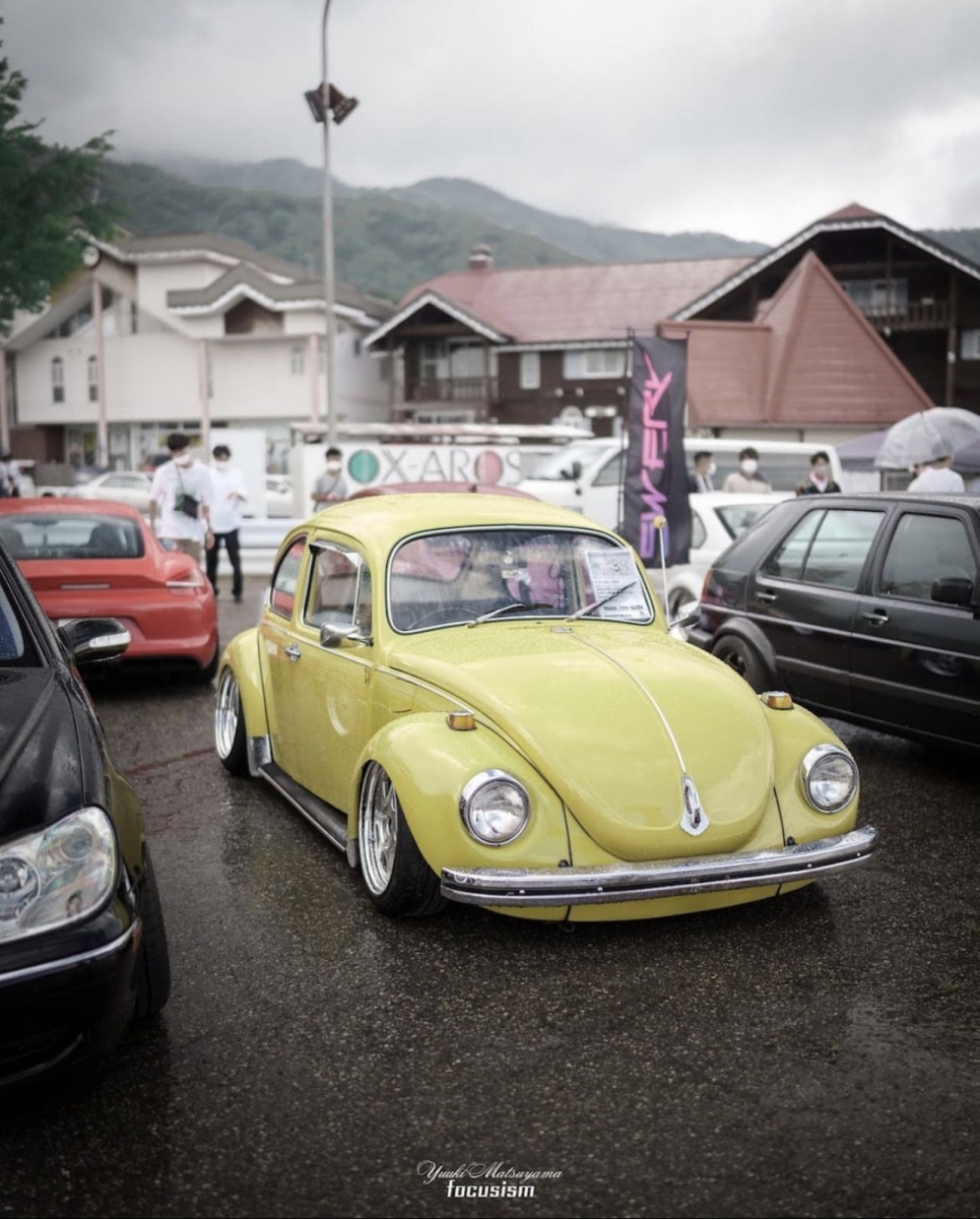 Masayoshi Y' Beetle