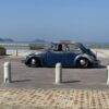 Teruyoshi Y' Beetle