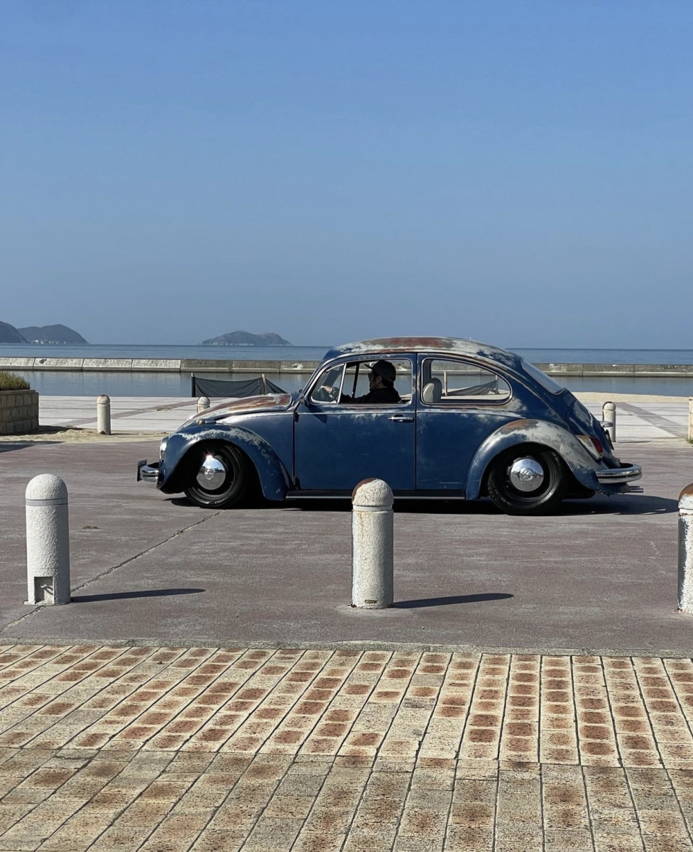 Teruyoshi Y' Beetle