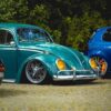 Joe C' Beetle