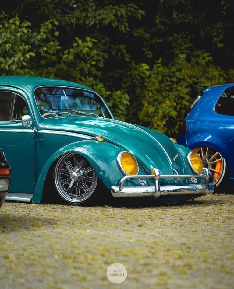 Joe C' Beetle