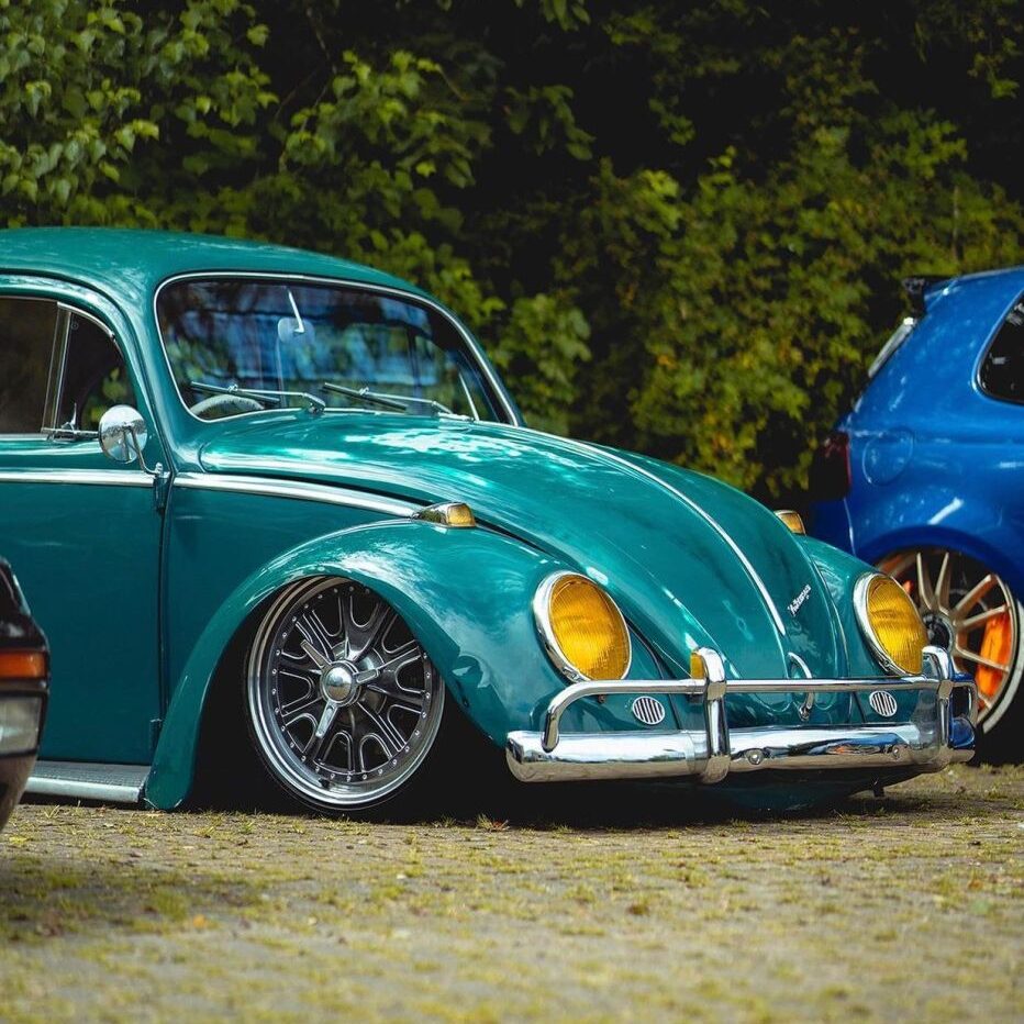 Joe C' Beetle