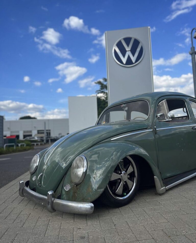Joe C' Beetle