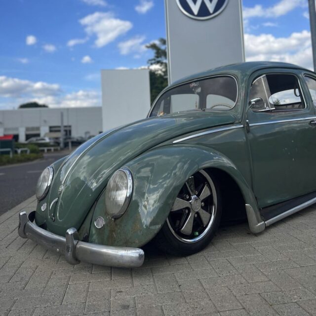 Joe C' Beetle