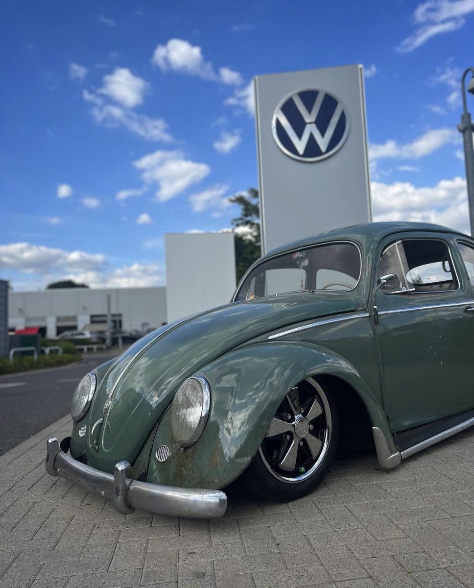 Joe C' Beetle