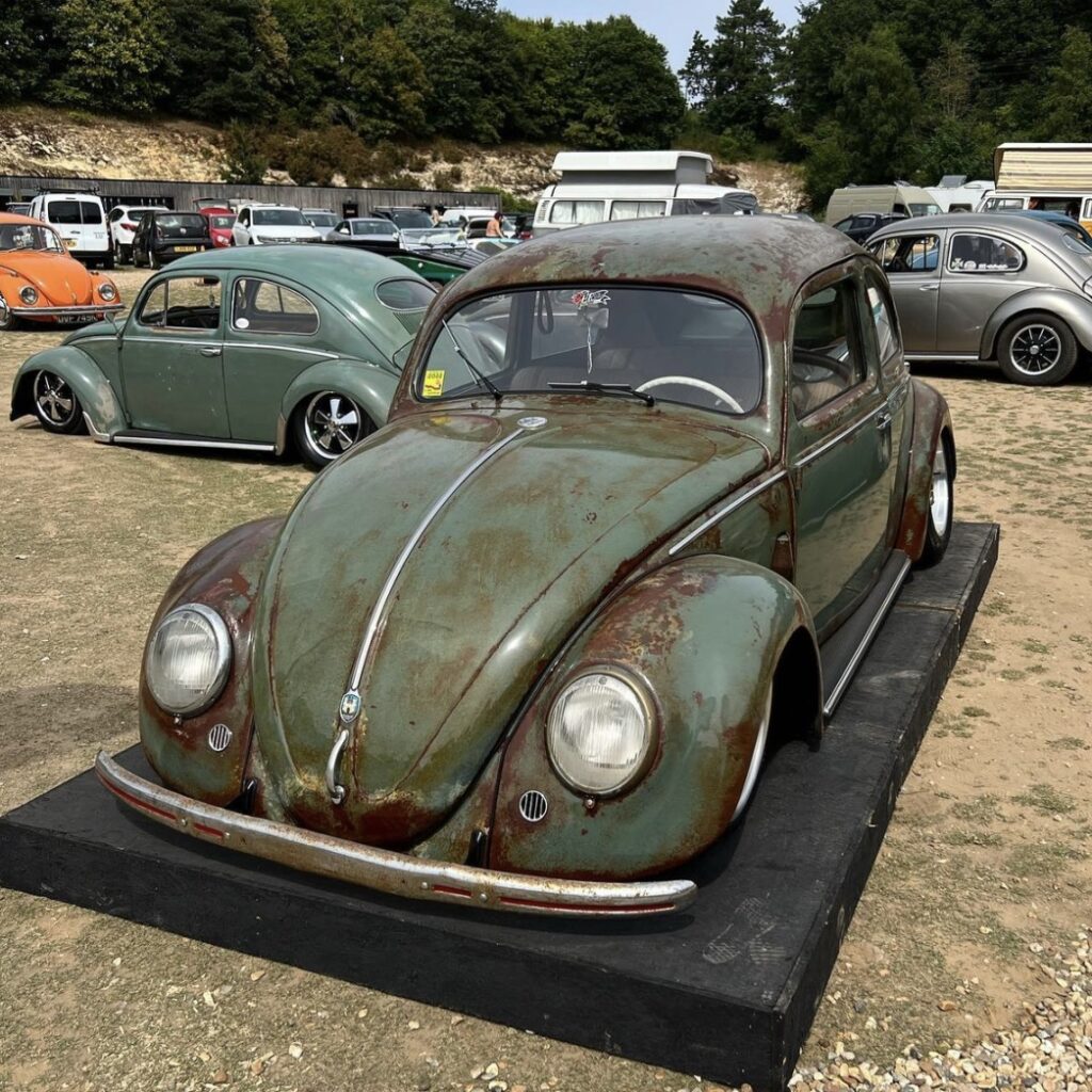 Joe C' Beetle