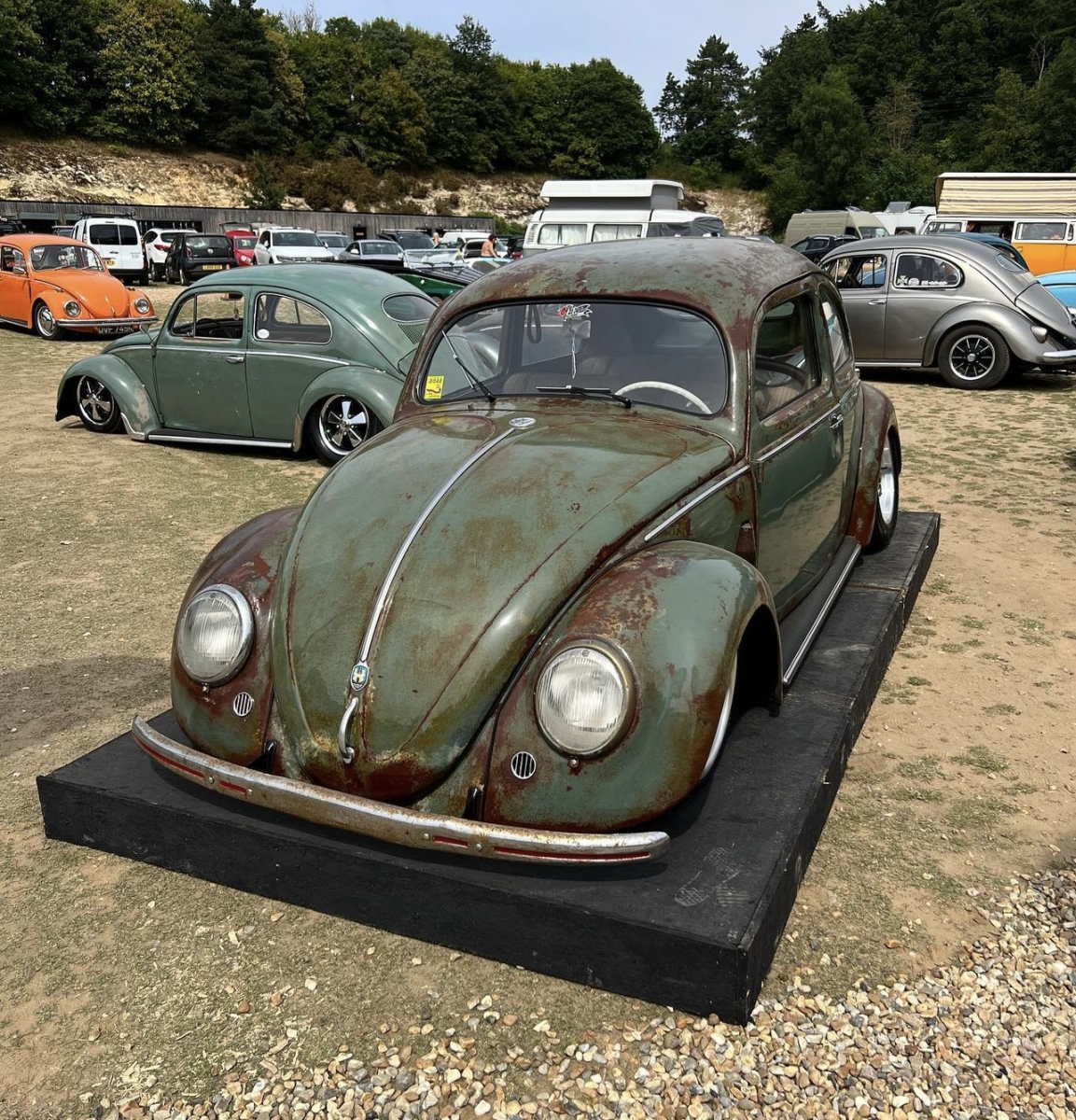 Joe C' Beetle