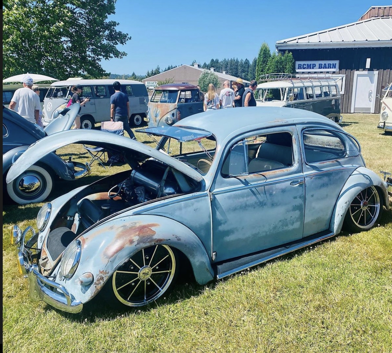 Mike A' Beetle