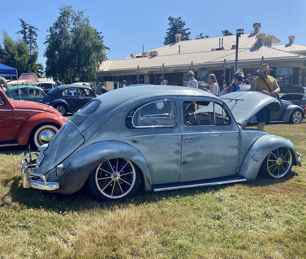 Mike A' Beetle
