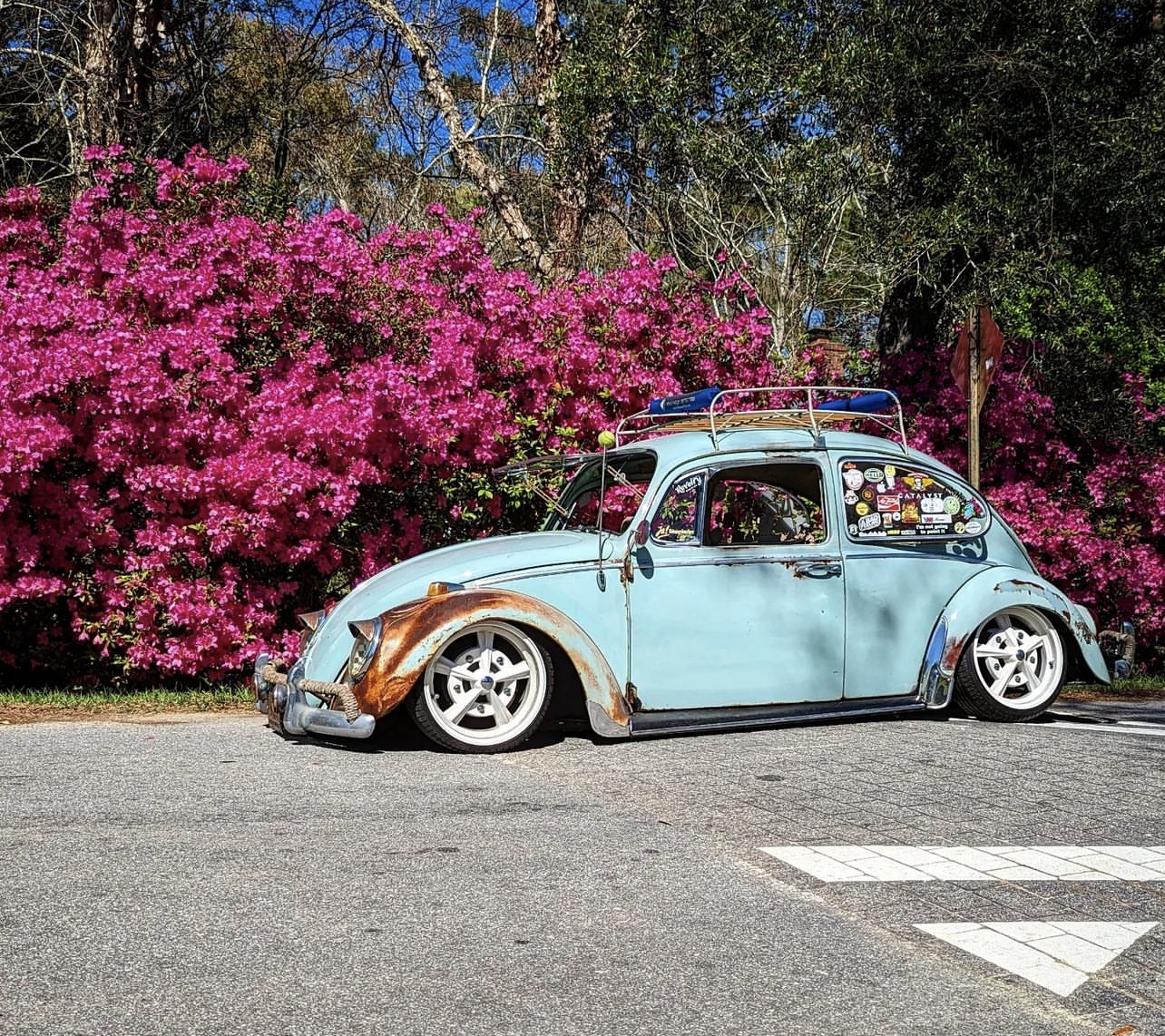 J' Beetle