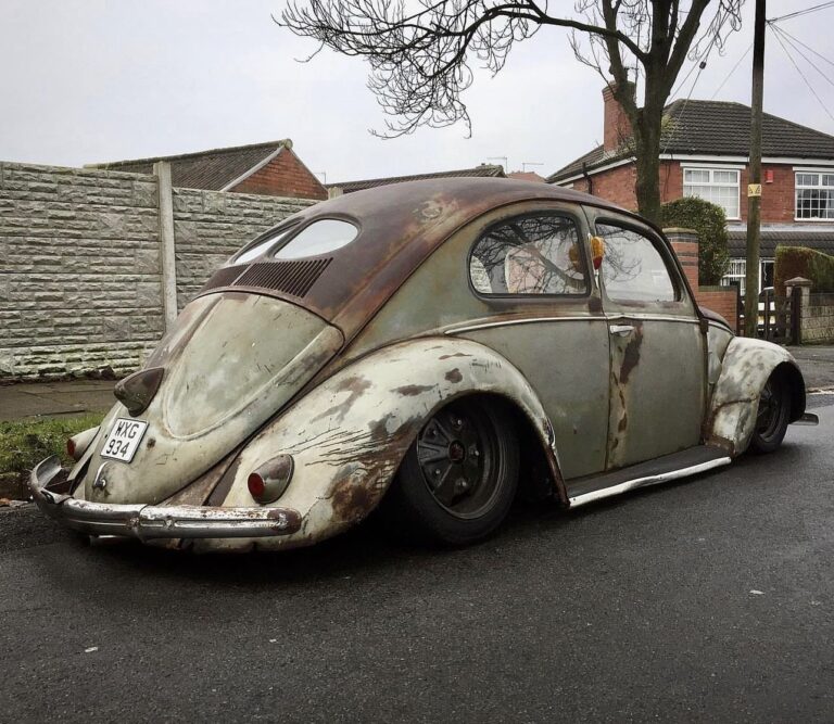 Scott A' Beetle