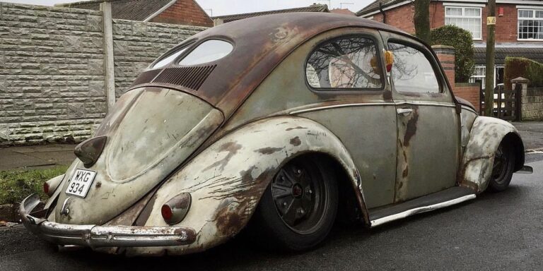 Scott A' Beetle