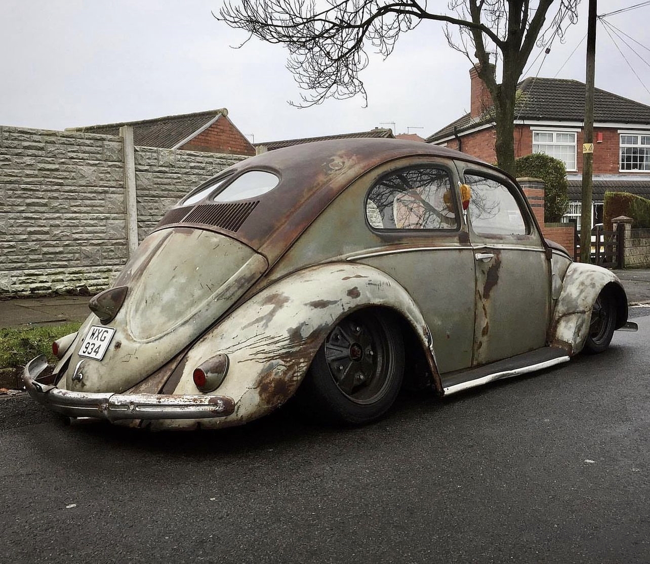 Scott A' Beetle