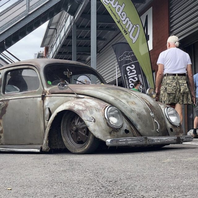 Scott A' Beetle