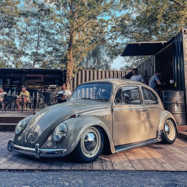 Kuba M' Beetle