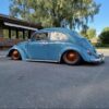 Paavola' Beetle