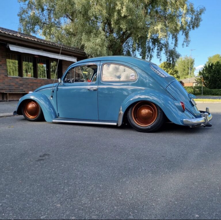Paavola' Beetle