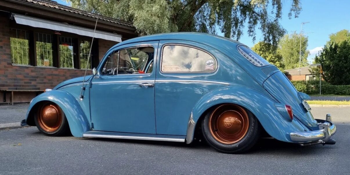 Paavola' Beetle