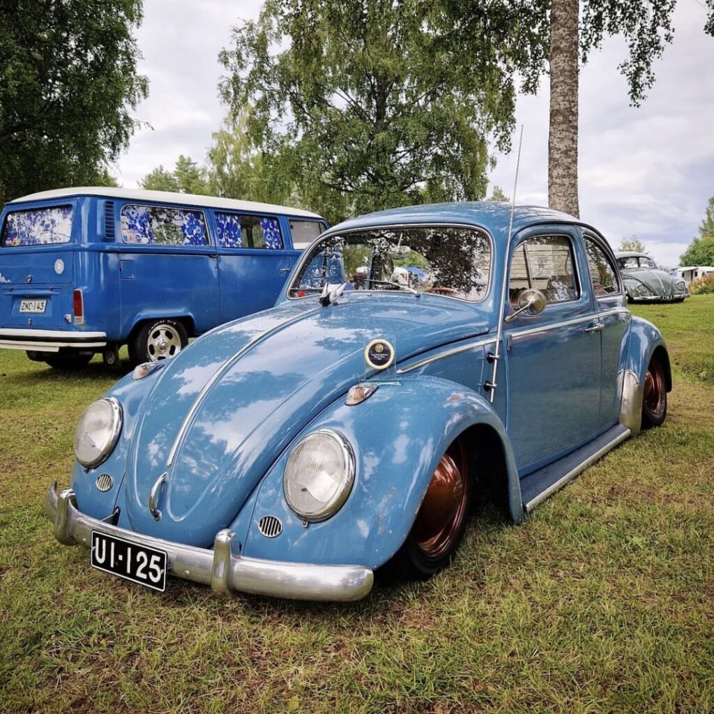 Paavola' Beetle