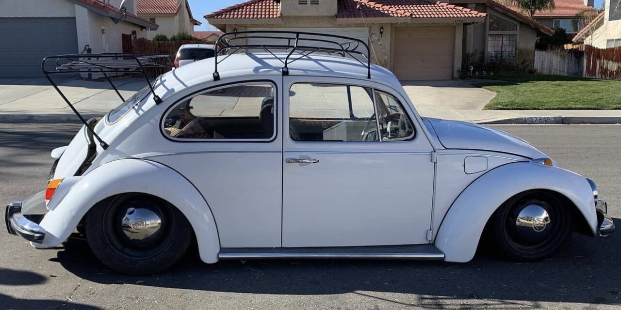 Fabian T' Beetle