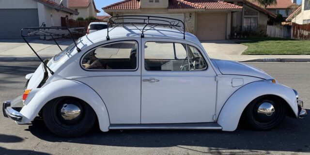 Fabian T' Beetle