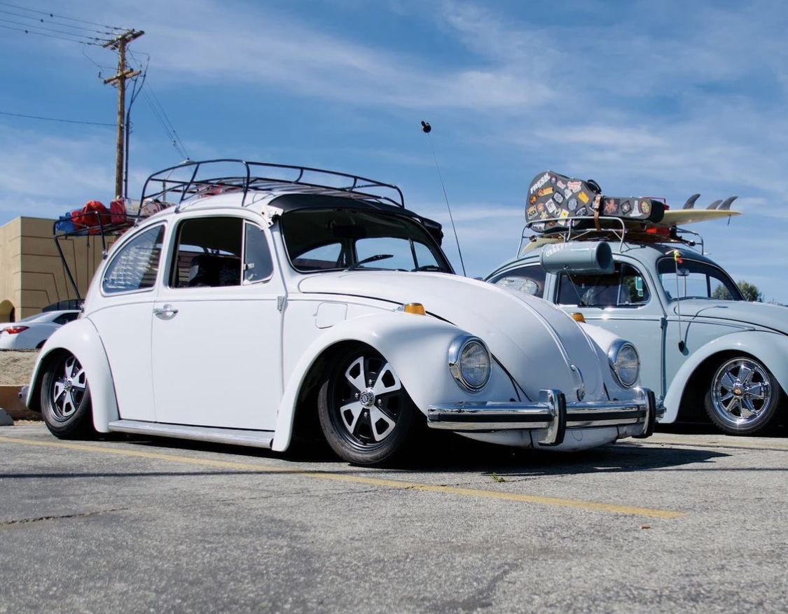Fabian T' Beetle
