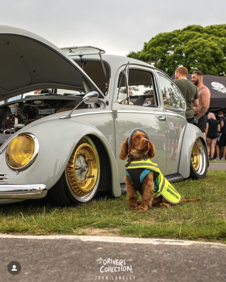 DK Automotive Built' Beetle