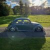 Joe C' Beetle