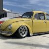 Masayoshi Y' Beetle