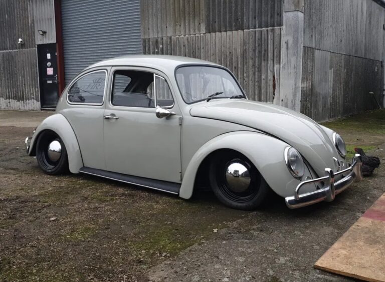 Pete C' Beetle
